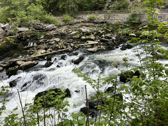 23-05-20 10-20-34 5475